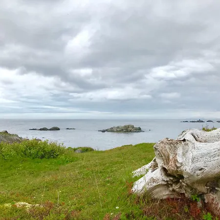Chalet Midnight Sun Lofoten Bostad