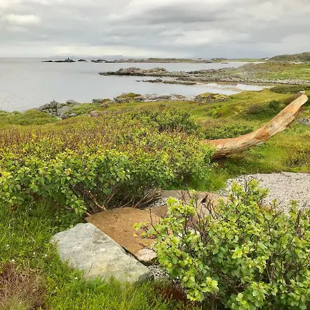 Midnight Sun Lofoten Bostad